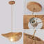 Luminaire suspendu 1 lumière Araia