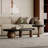 Luxury Retro Coffee Table Set