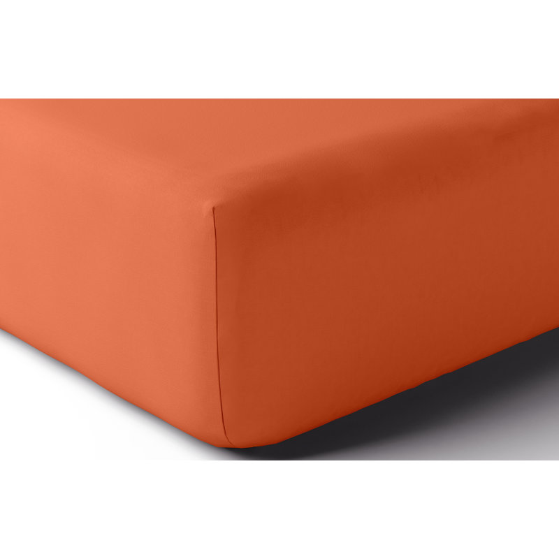 Vexin 100% Cotton Percale Fitted Sheet, King, Spices