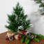 Whitecap Pine Artificial Mini Christmas Tree - 14" - Unlit
