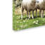 «Armand Sheepdog with Sheep» par Armand-21646857