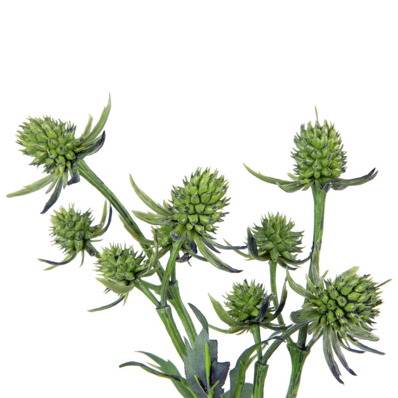 Delphinium Sprays, Vert