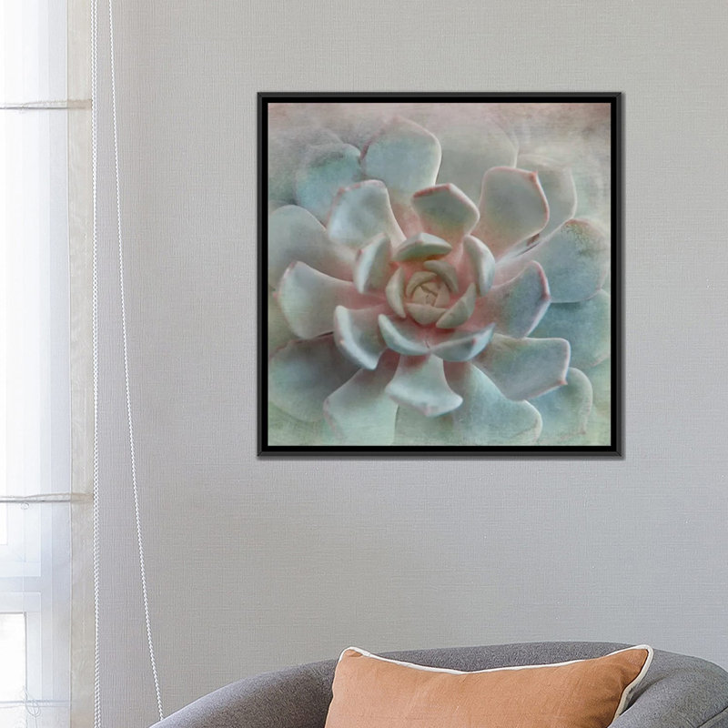 « pastel succulent ii », impression sur toile, H 18 po x l 18 po x P 1,5 po, Toile avec cadre noir, Pas de tapis