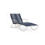 Walter Lamb Outdoor Chaise Lounge-1037990919