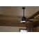 Bhram 48'' Ceiling Fan with LED Lights