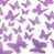 Lavander