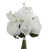Blanc est en rupture de stock