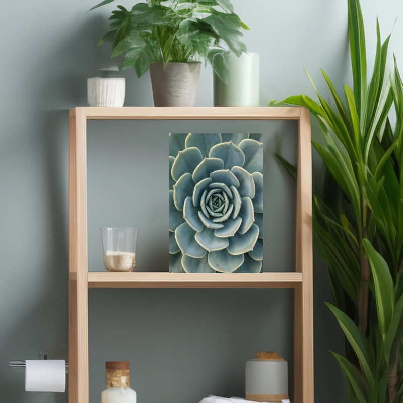 «Succulent Plant», art mural contemporain succulent, H 18 po x l 12 po