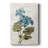 " Linen Geranium "-1185599065