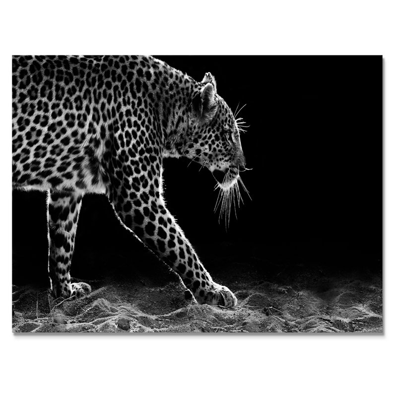 Léopard en noir et blanc - Décoration murale traditionnelle sur toile, H 8 po x l 12 po x P 1 po, Toile tendue