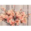 Magnolia - 20 Inches Box of 12-522962811