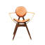 Leather Arm Chair