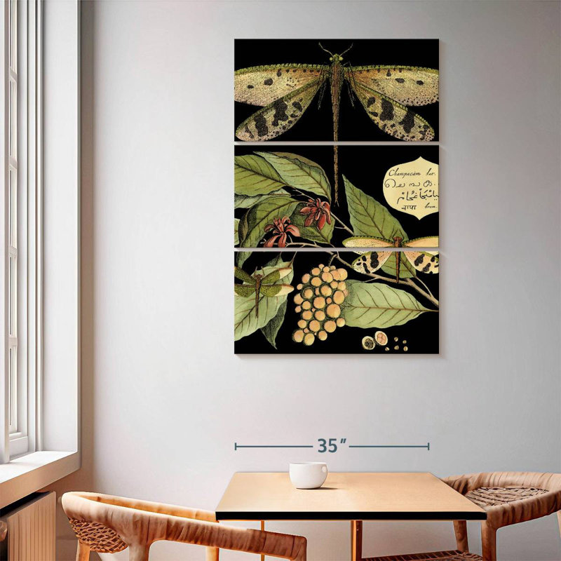 Whimsical Dragonfly On Black I