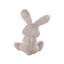 Large-Ear Plush Rabbit Stuffed Doll