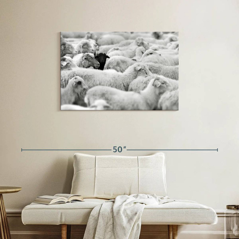 Distinct Black Sheep, 24" H x 36" W
