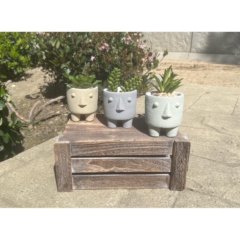 Jardinières en pot, Vert, 3