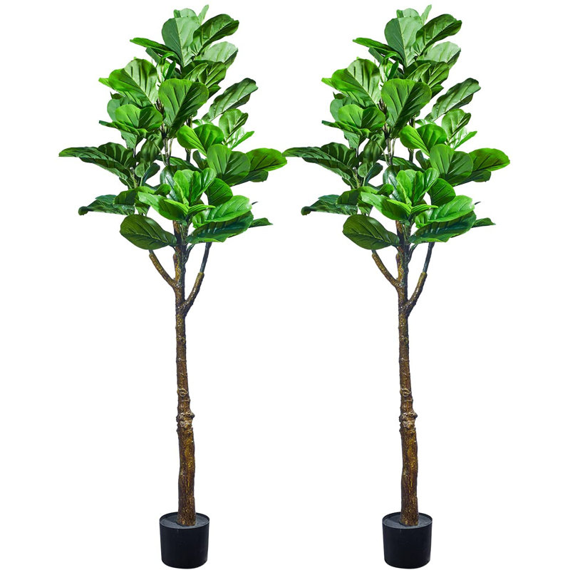 Figuier figuier en pot par Maydear, H 63 po x l 8 po x P 8 po