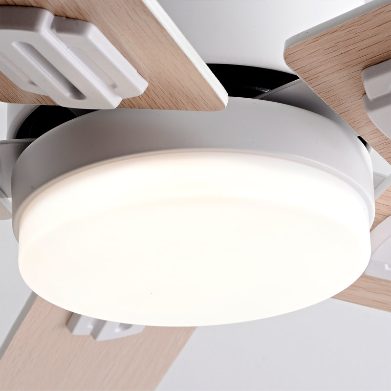 Ventilateur de 42 pouces, à 5 pales, à double face, à deux tons (nickel satiné), ventilateur 3cc, réglable à 6 vitesses, lumière de ventilateur télécommandée pour un usage domestique