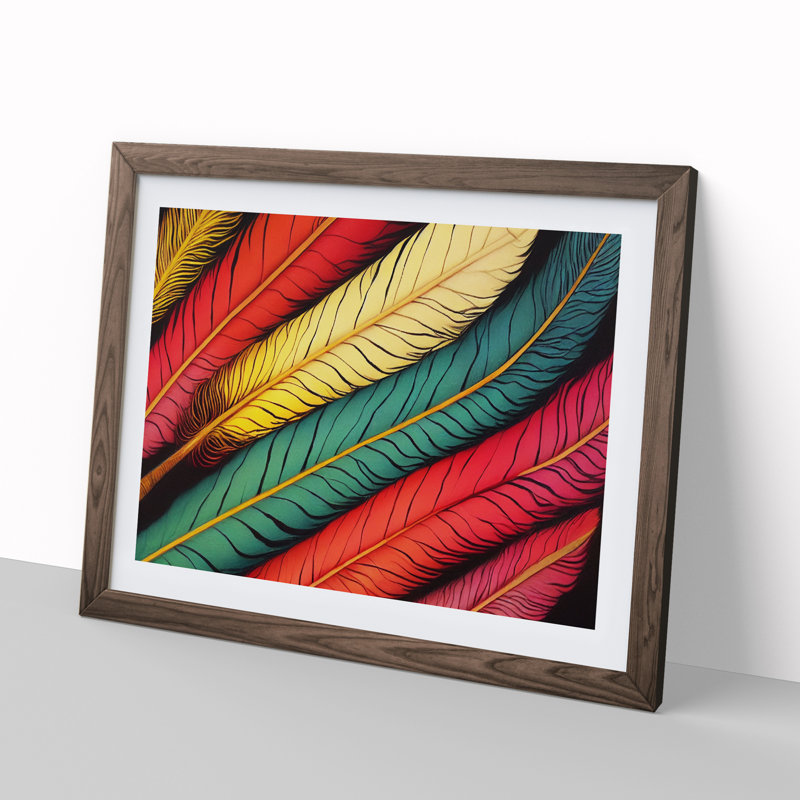 Colourful Bird Feathers Vol.1 - Framed Print, 34cm H x 46cm W x 2cm D, Walnut