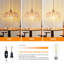 Luminaire suspendu à brancher-862596448