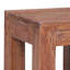 Coffee Table 30x30x30 cm Solid Mahogany Wood