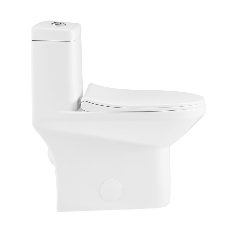 Pierre Dual-Flush Elongated One-Piece Toilet (Seat Included)