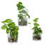 Ensemble de 3 plantes artificielles en verre