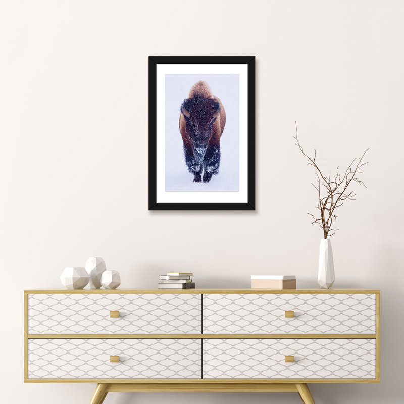 «Bison In Snow» - reproduction, H 24 po x l 16 po x P 1 po, Papier beaux-arts encadré noir