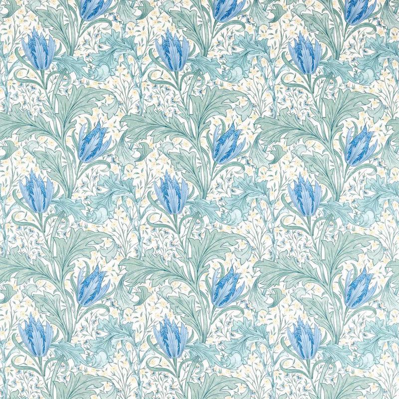 Lent Lily, Cornflower Blue