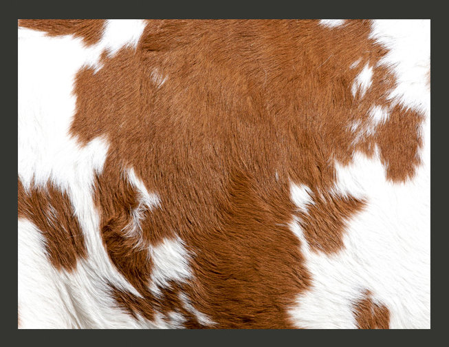 Warm Cowhide 2.31m x 300cm Wallpaper
