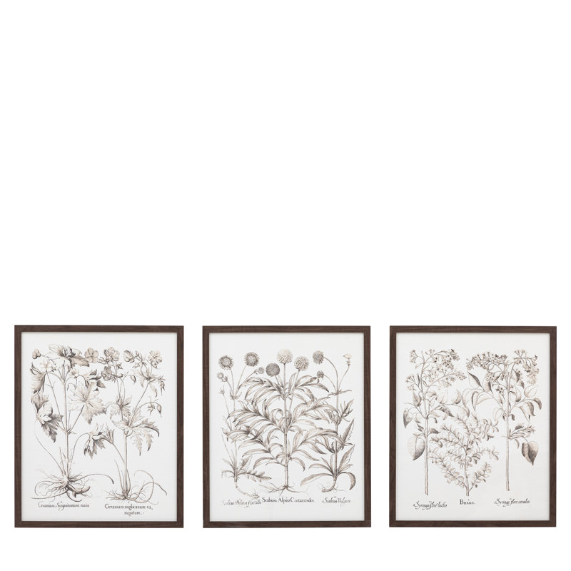 Evergreen Framed Art