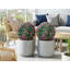 40 cm H Faux Boxwood Topiary Plant-1505550137