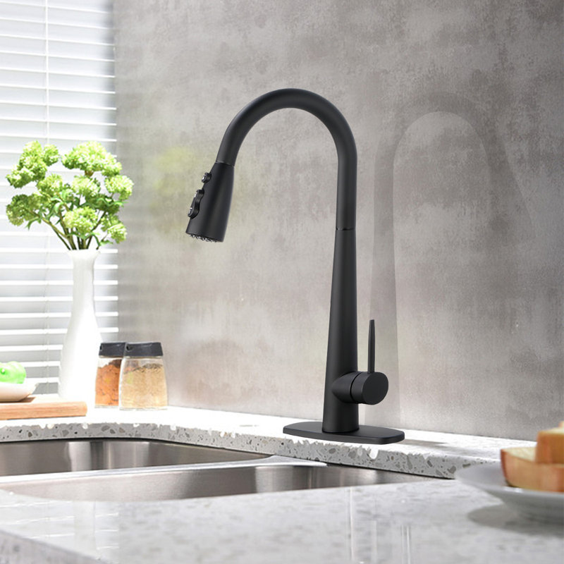 Interbath Pull Down Kitchen Faucet, Matte Black