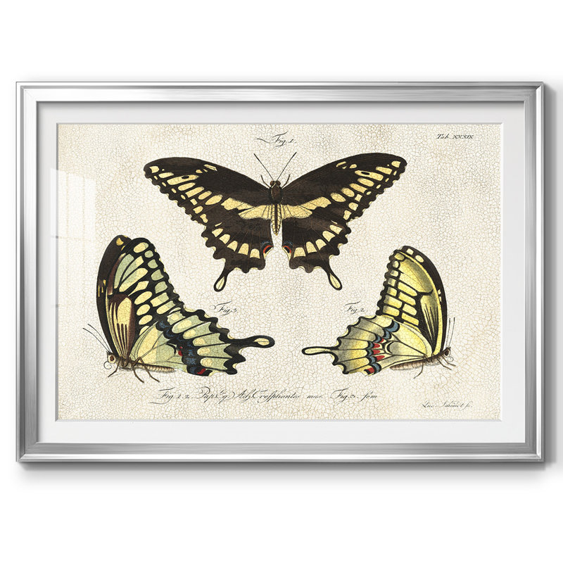 «Crackled Butterflies I», impression sur papier, H 30 po x l 44 po x P 1,5 po, Argent