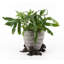 Azriel Weather Resistant Planter Feet