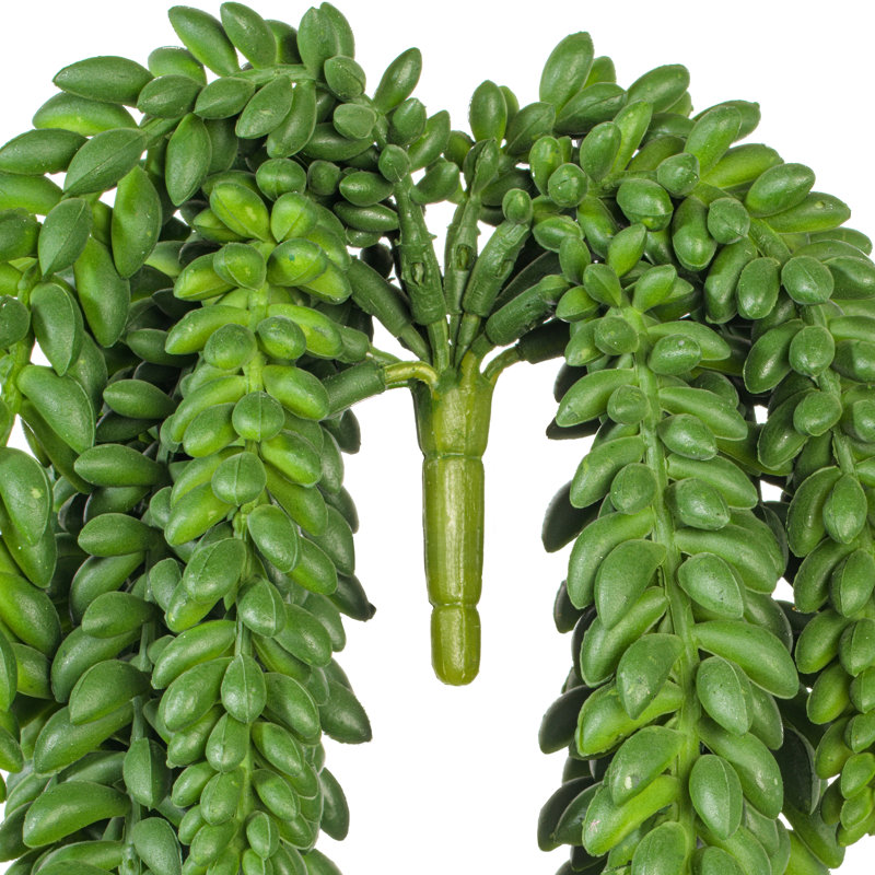 Plantes grasses artificielles en plastique