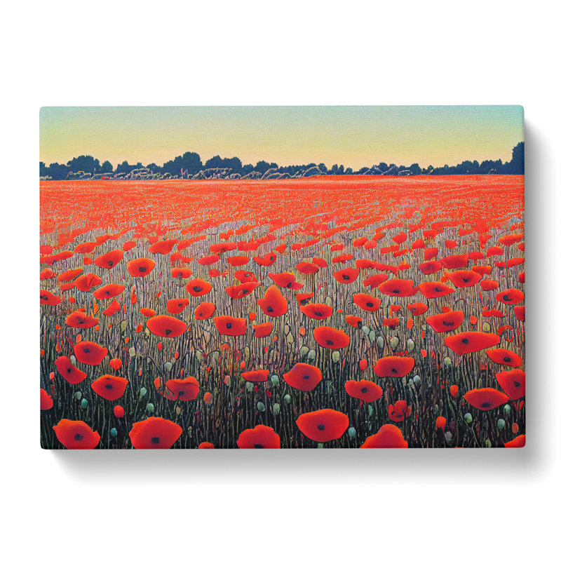 Fancy Poppy Field Flowers - Wrapped Canvas, 35cm H x 50cm W x 3cm D