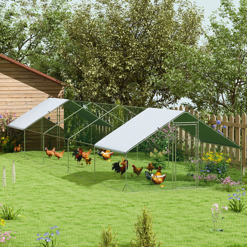 Poulailler avec couloir Mitzel, H 79 po x l 118 po x P 394 po