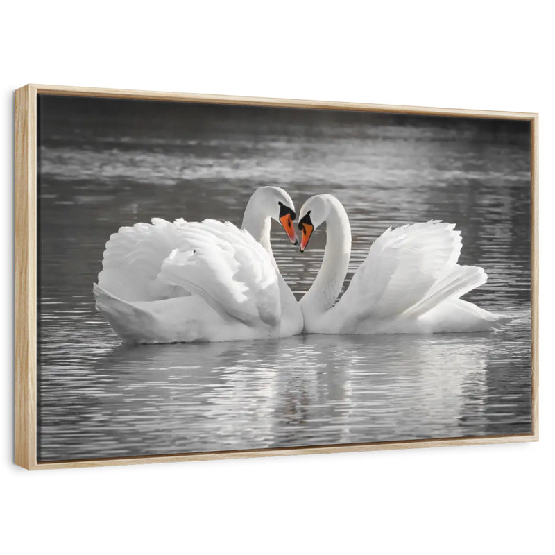 Couple de cygnes amoureux, Cadre flottant en bois naturel, 40 po x 27 po