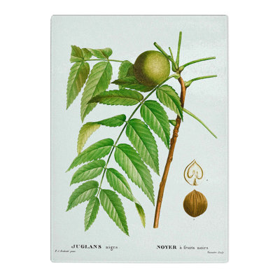 Tempered Glass Black Walnut Tree by Pierre-Joseph Redoute Chopping Board