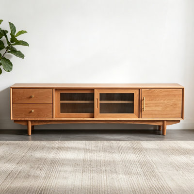 Modern Minimalist TV Stand