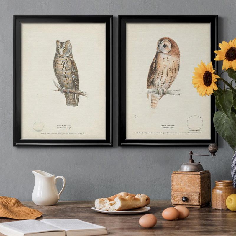 Scops - Eared Owl - Ensemble de 2 peintures sur toile encadrées, Noir, H 42,5 po x l 30,5 po x P 1 po