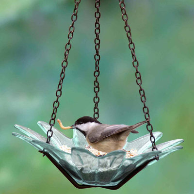 Daisy Recycled Glass Tray Bird Feeder - Hanging Petal Bowl - Clear