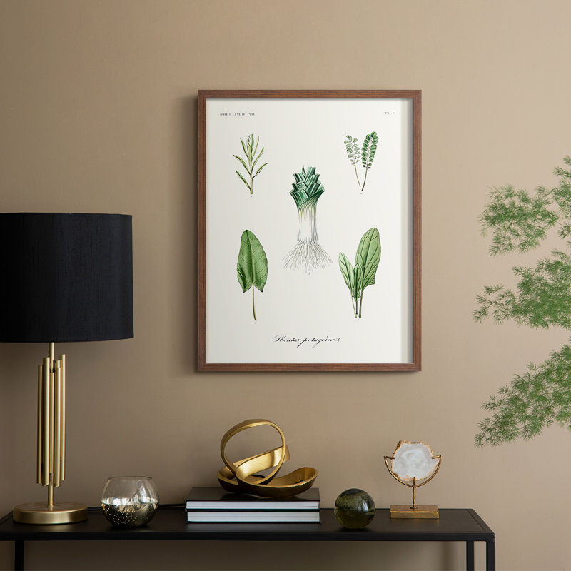 Reproduction encadrée de fruits et légumes I - bois massif, H 21 po x l 17 po, Noyer