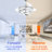 Orren Ellis 42" DIY Shade Chrome Modern Ceiling Fan with Lights and Remote, Quiet and Reversible DC Motor Ceiling Fan-304772254