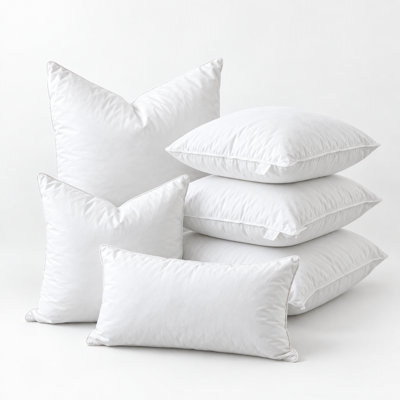 Coussin décoratif en duvet d'oie et en duvet, 95% plumes et 5% en duvet, coussin décoratif moelleux