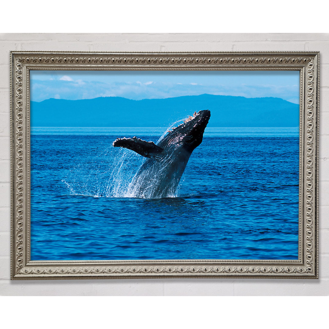 Gerahmtes Bild Whale Ocean Jump