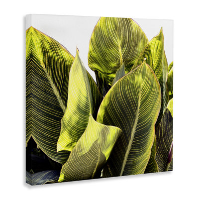 «Bright Bright Tropical Leaves» par Emily Navas