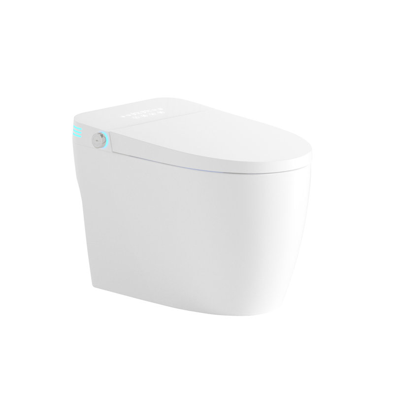 Smart Bidet Toilet, One - Piece Toilet Seat, Auto Flush And Automatic Open/Close, Heated Seat With Adjustable Temperature, Warm Water Wash Dry, Remote Control, Sensor For Cover, Female Move Modes,