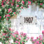 Frosted Beveled Crystal Futura Engraved 1-Line Address Sign-35165376-35165378
